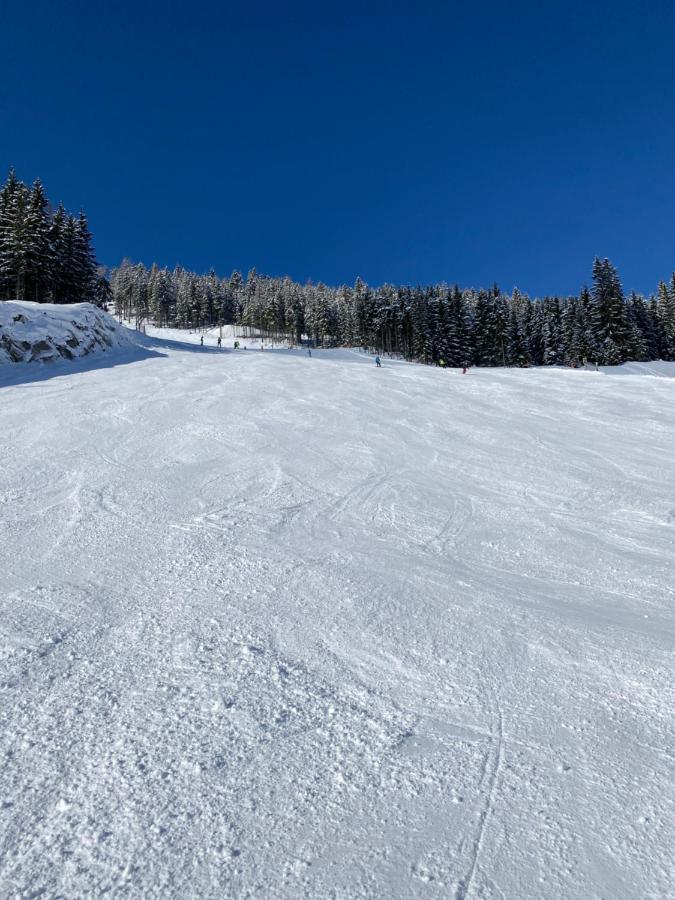 Appartements By Chalet Reiteralm -Sommercard Schladming Exteriör bild
