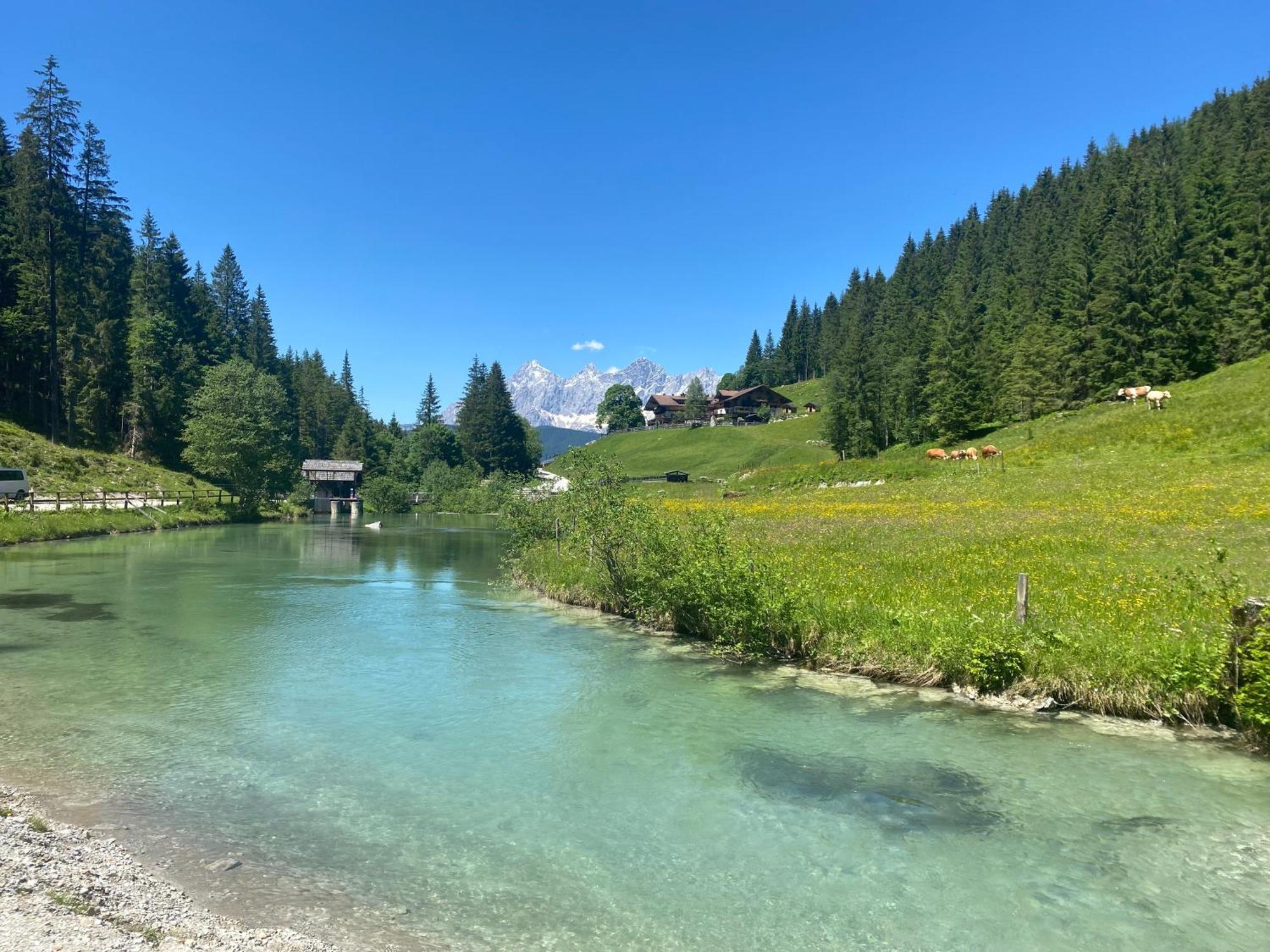 Appartements By Chalet Reiteralm -Sommercard Schladming Exteriör bild