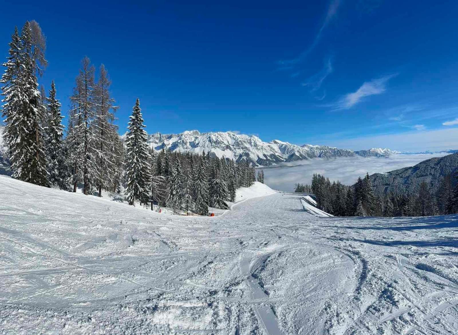 Appartements By Chalet Reiteralm -Sommercard Schladming Exteriör bild