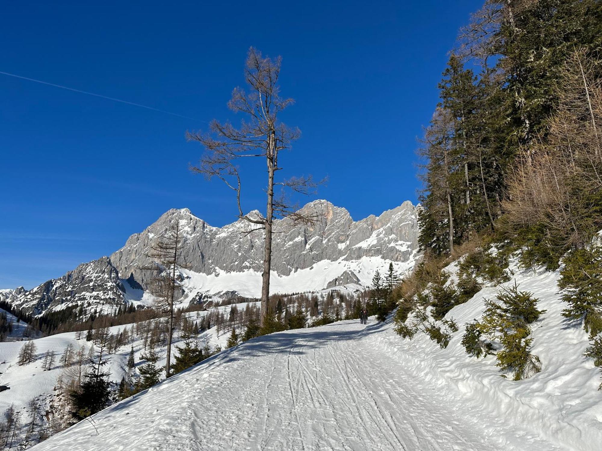 Appartements By Chalet Reiteralm -Sommercard Schladming Exteriör bild